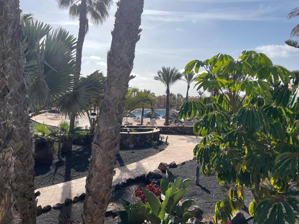 Апартаменти Casa Mari Y Jose Con Grandes Piscinas Y Wifi Gratis Корралехо Екстер'єр фото