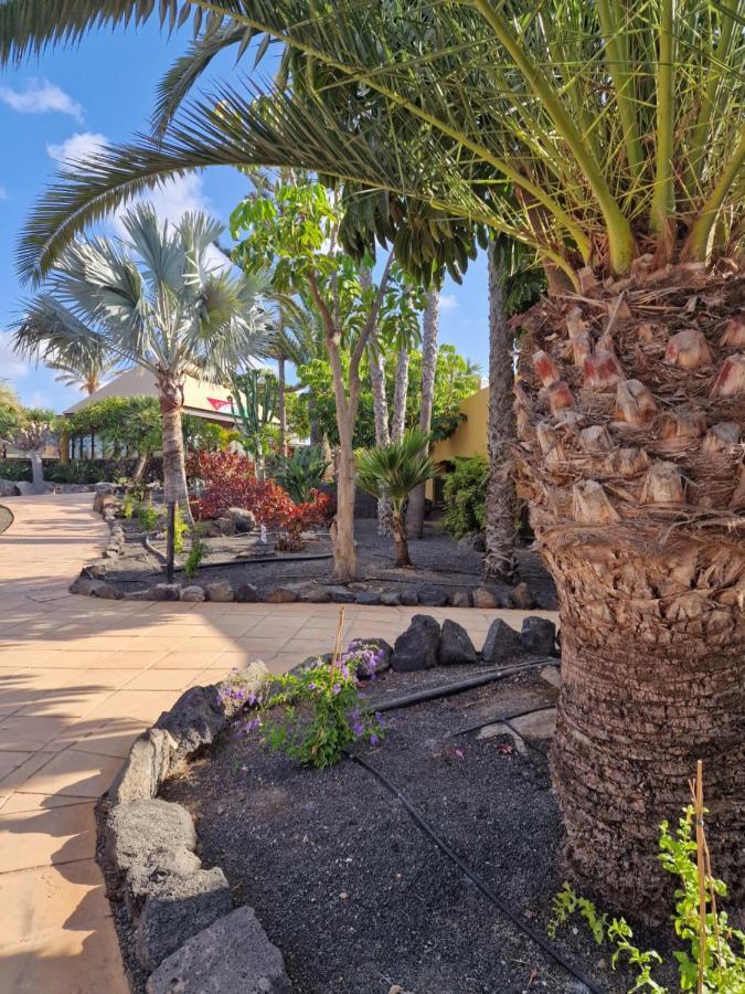 Апартаменти Casa Mari Y Jose Con Grandes Piscinas Y Wifi Gratis Корралехо Екстер'єр фото